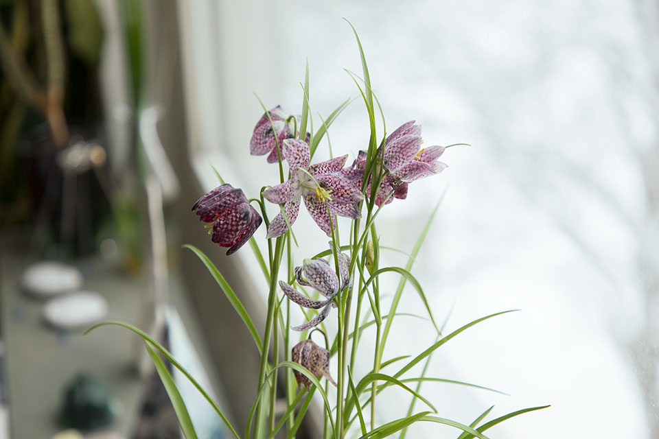 創意人訪談,獨立創意人,loft.work,藝術家生活
