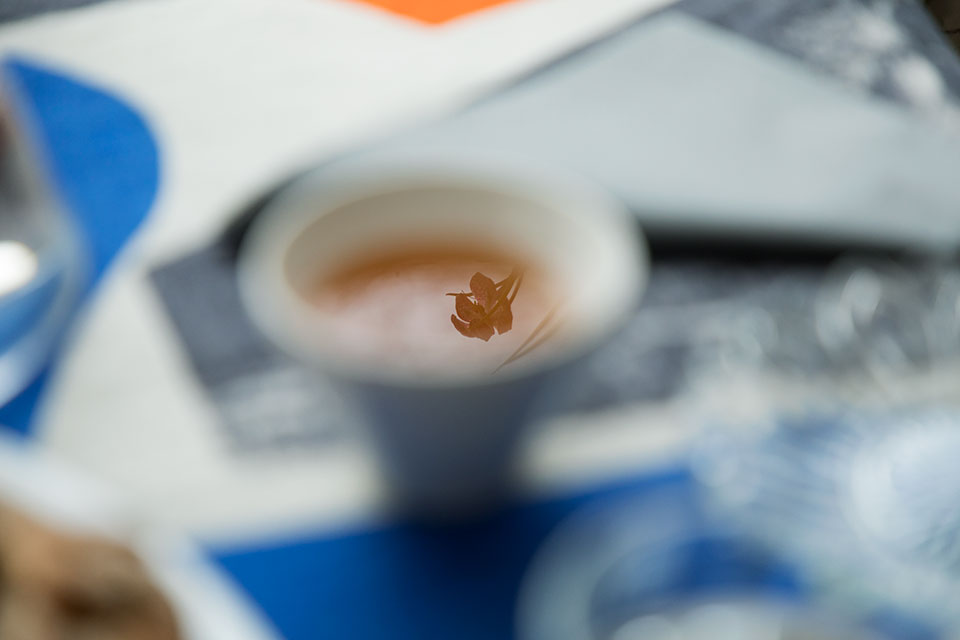 創意人訪談,獨立創意人,loft.work,藝術家生活