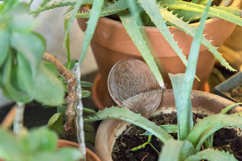 創意人訪談,獨立創意人,loft.work,藝術家生活