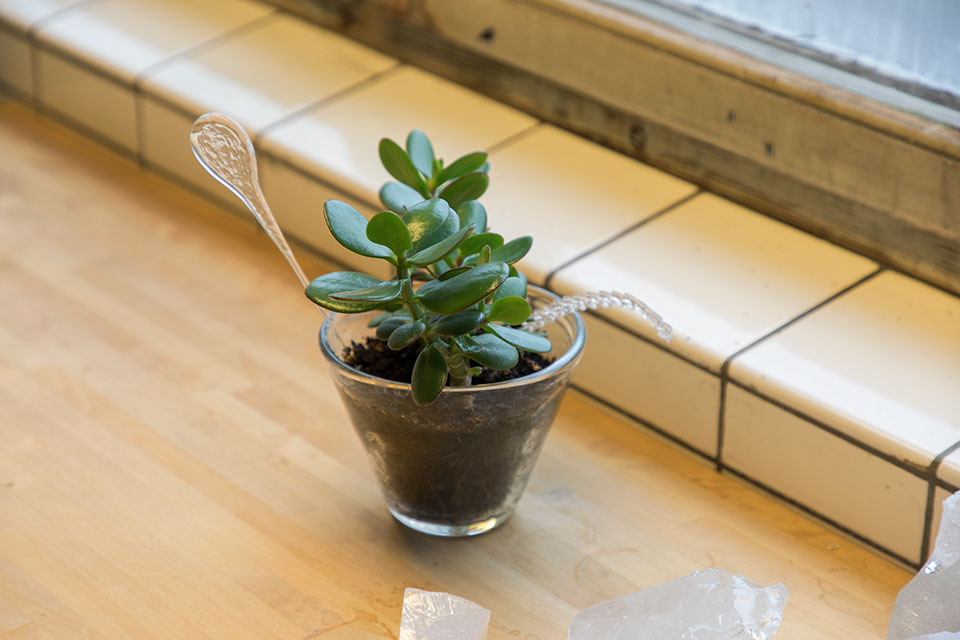 創意人訪談,獨立創意人,loft.work,藝術家生活