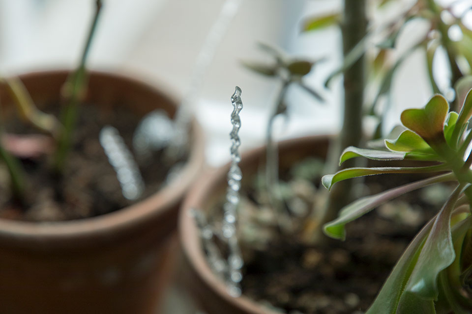 創意人訪談,獨立創意人,loft.work,藝術家生活