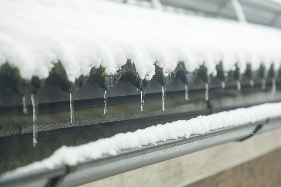 創意人訪談,獨立創意人,loft.work,藝術家生活