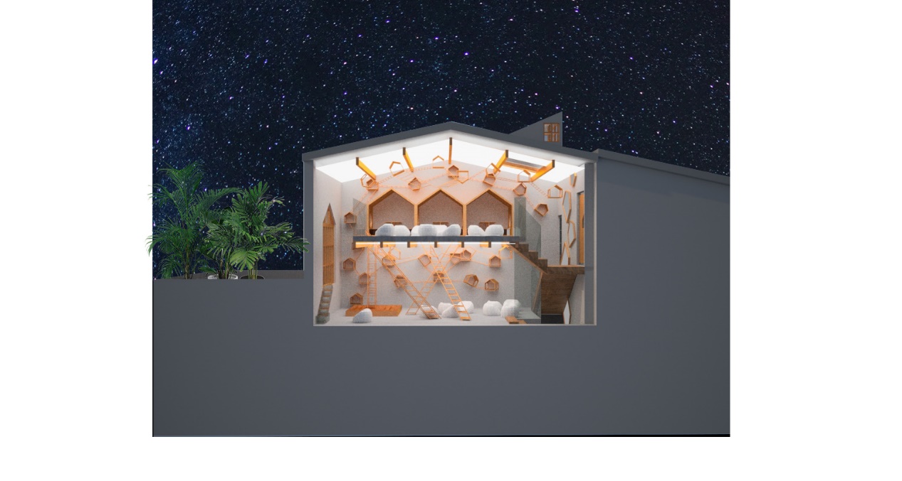 商業空間,擼貓體驗館,貓之一隅,室內改造設計,上海田子坊