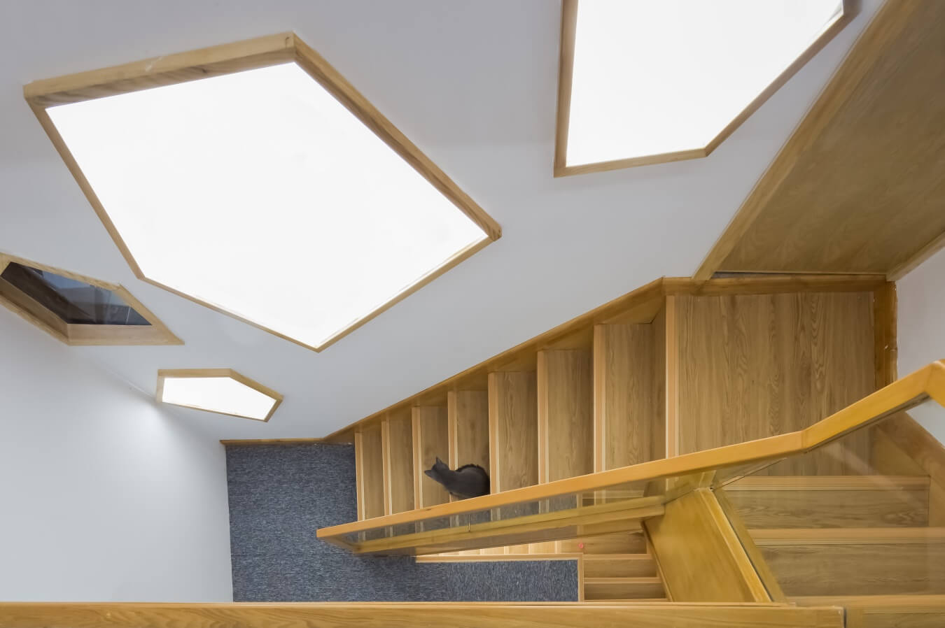 商業空間,擼貓體驗館,貓之一隅,室內改造設計,上海田子坊