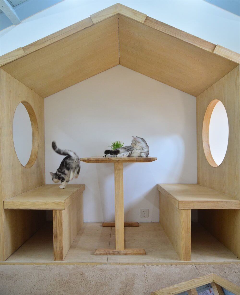 商業空間,擼貓體驗館,貓之一隅,室內改造設計,上海田子坊