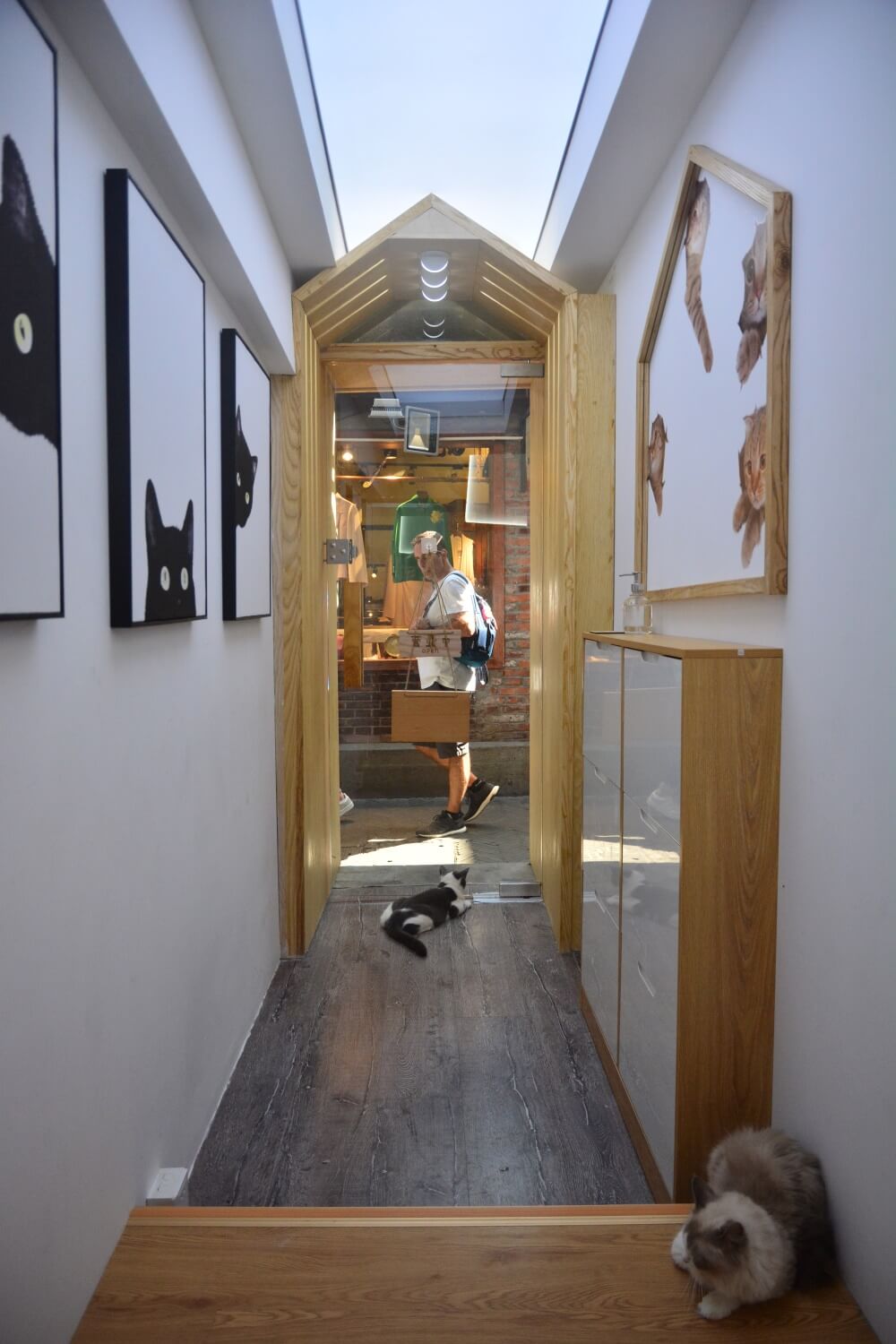 商業空間,擼貓體驗館,貓之一隅,室內改造設計,上海田子坊