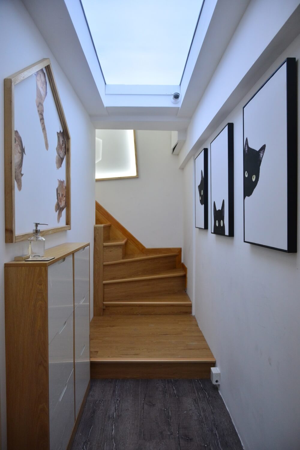 商業空間,擼貓體驗館,貓之一隅,室內改造設計,上海田子坊