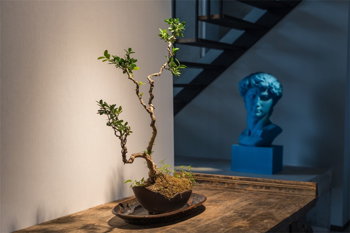 辦公空間,辦公\藝術空間設計,設計公司辦公室設計,新中式辦公室,廣州一脈設計