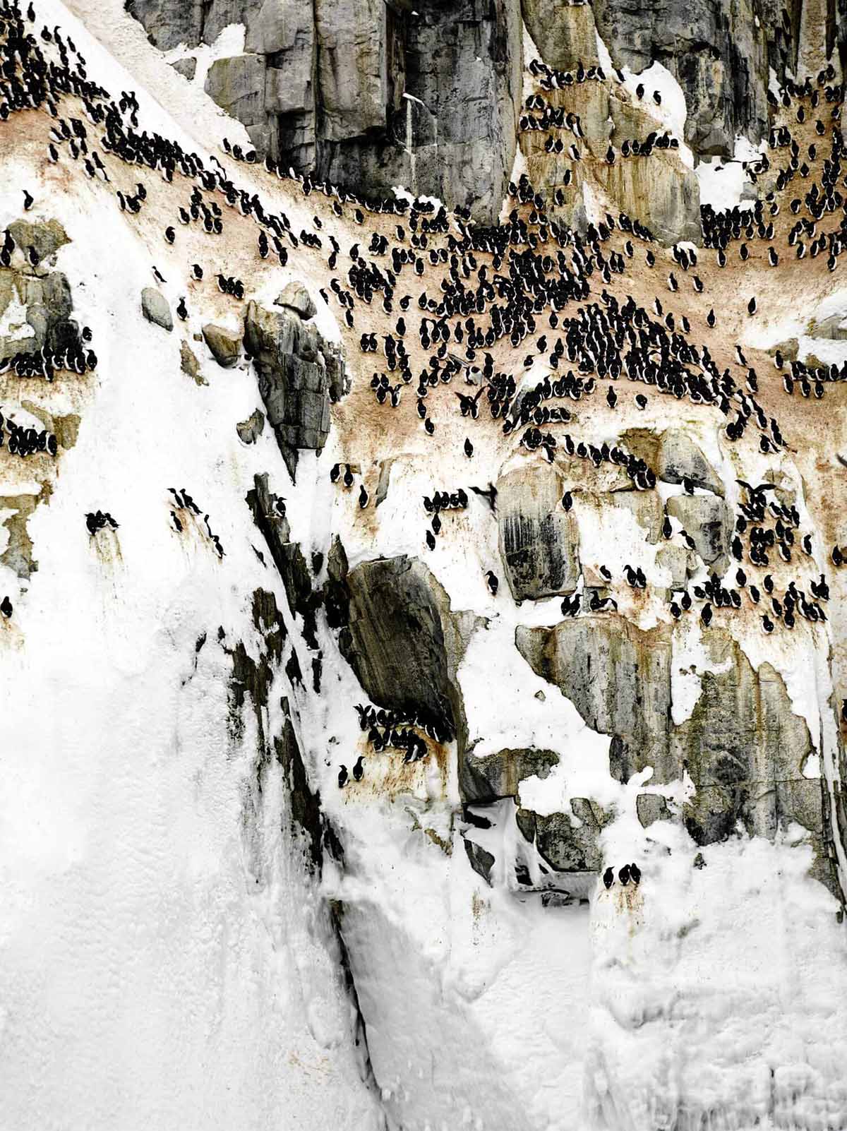 航拍攝影,色彩,自然景觀攝影,大自然色彩,設計靈感