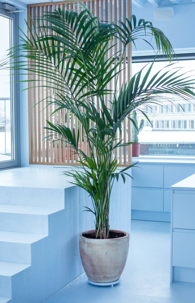 辦公空間,改造空間,國外辦公室設計,辦公室改造