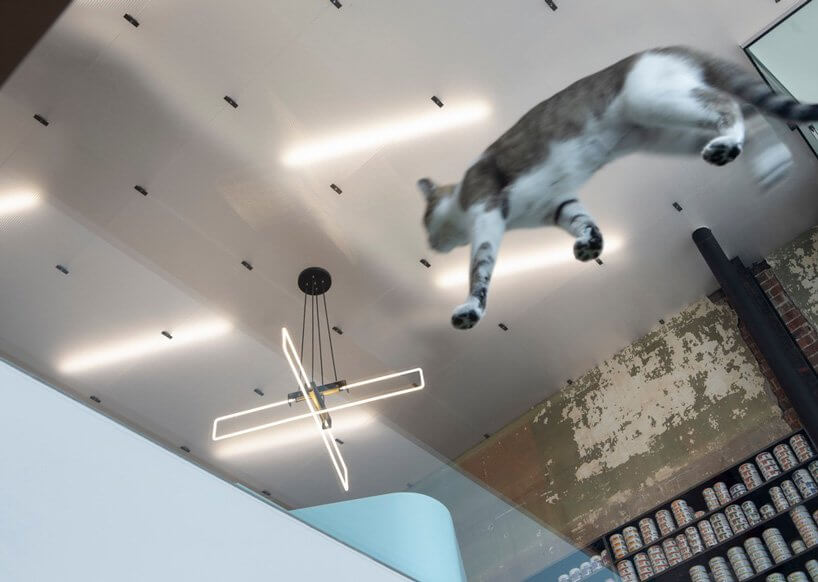 改造空間,商住兩用,住宅空間,現代簡約風格,國外改造