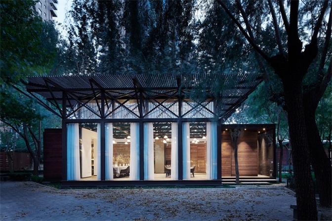 室內的樹，設計元素，綠植，特輯