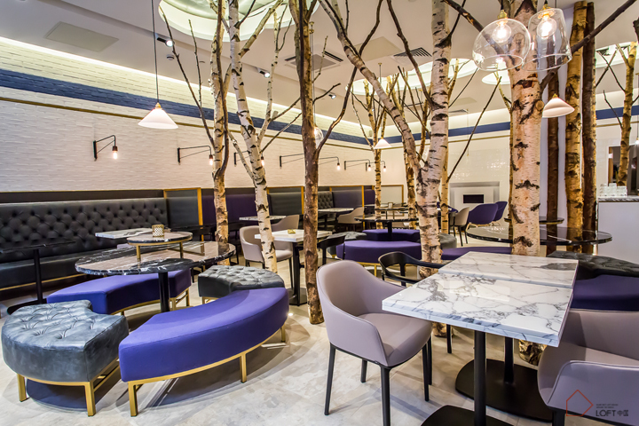 室內的樹，設計元素，綠植，特輯