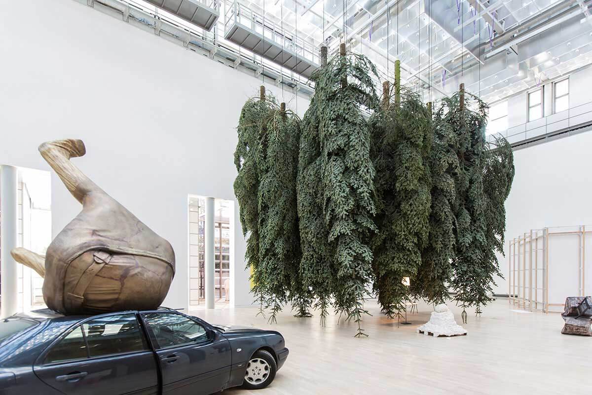 室內的樹，設計元素，綠植，特輯