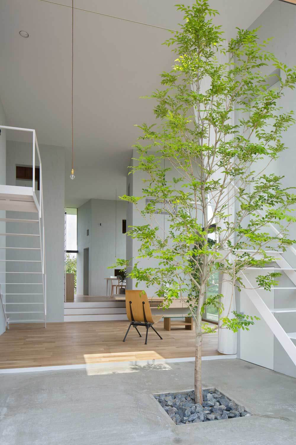 室內的樹，設計元素，綠植，特輯