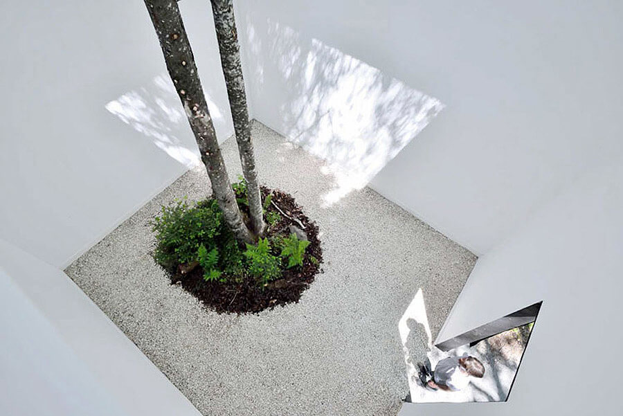 室內的樹，設計元素，綠植，特輯