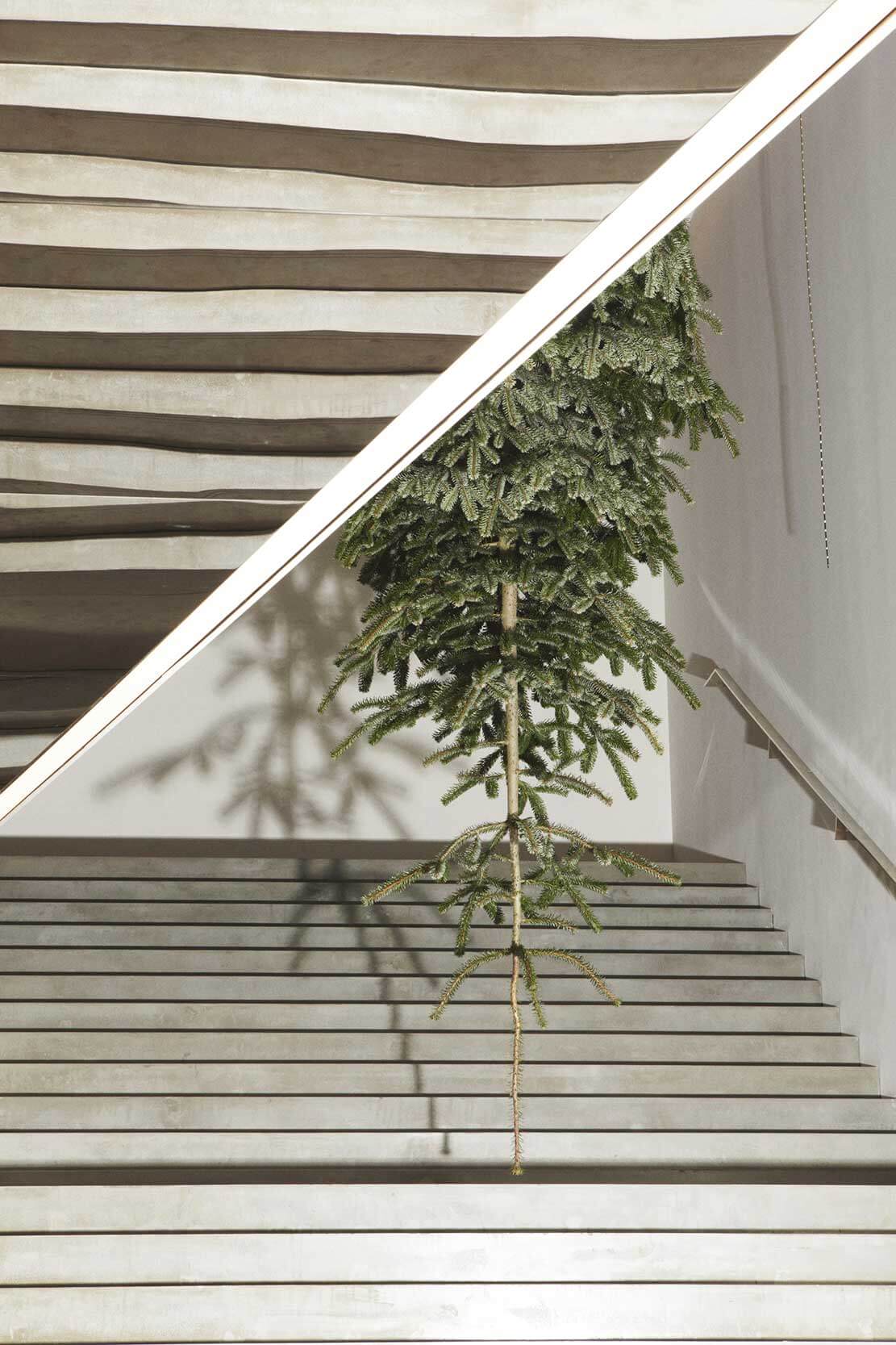 室內的樹，設計元素，綠植，特輯