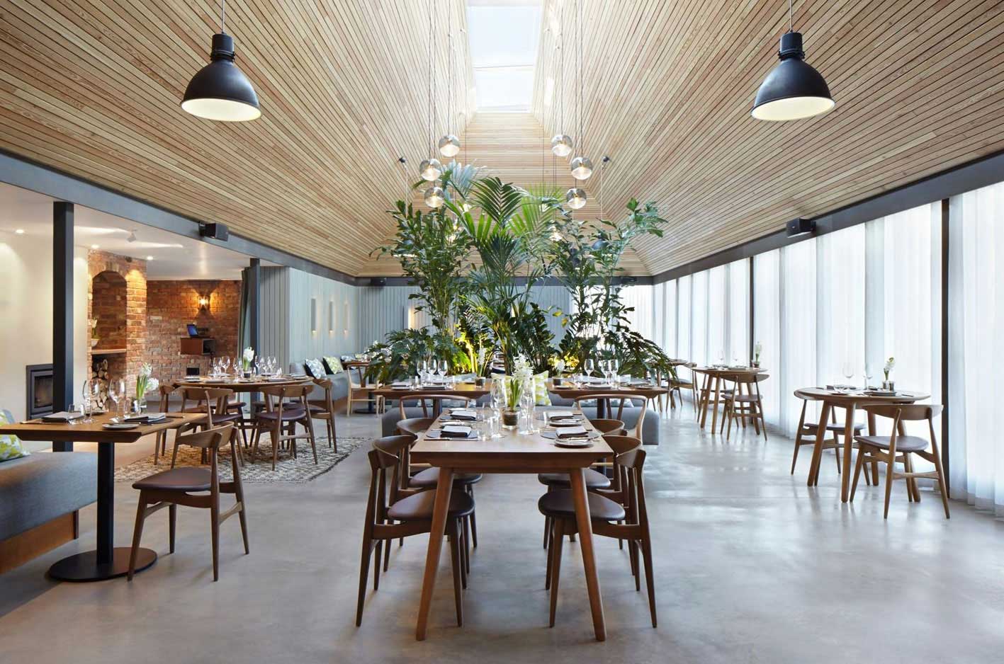 室內的樹，設計元素，綠植，特輯