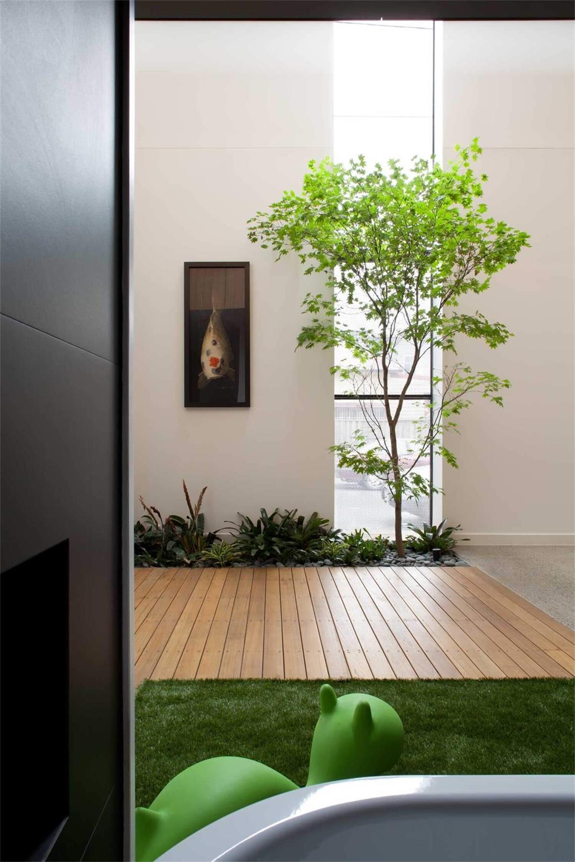 室內的樹，設計元素，綠植，特輯