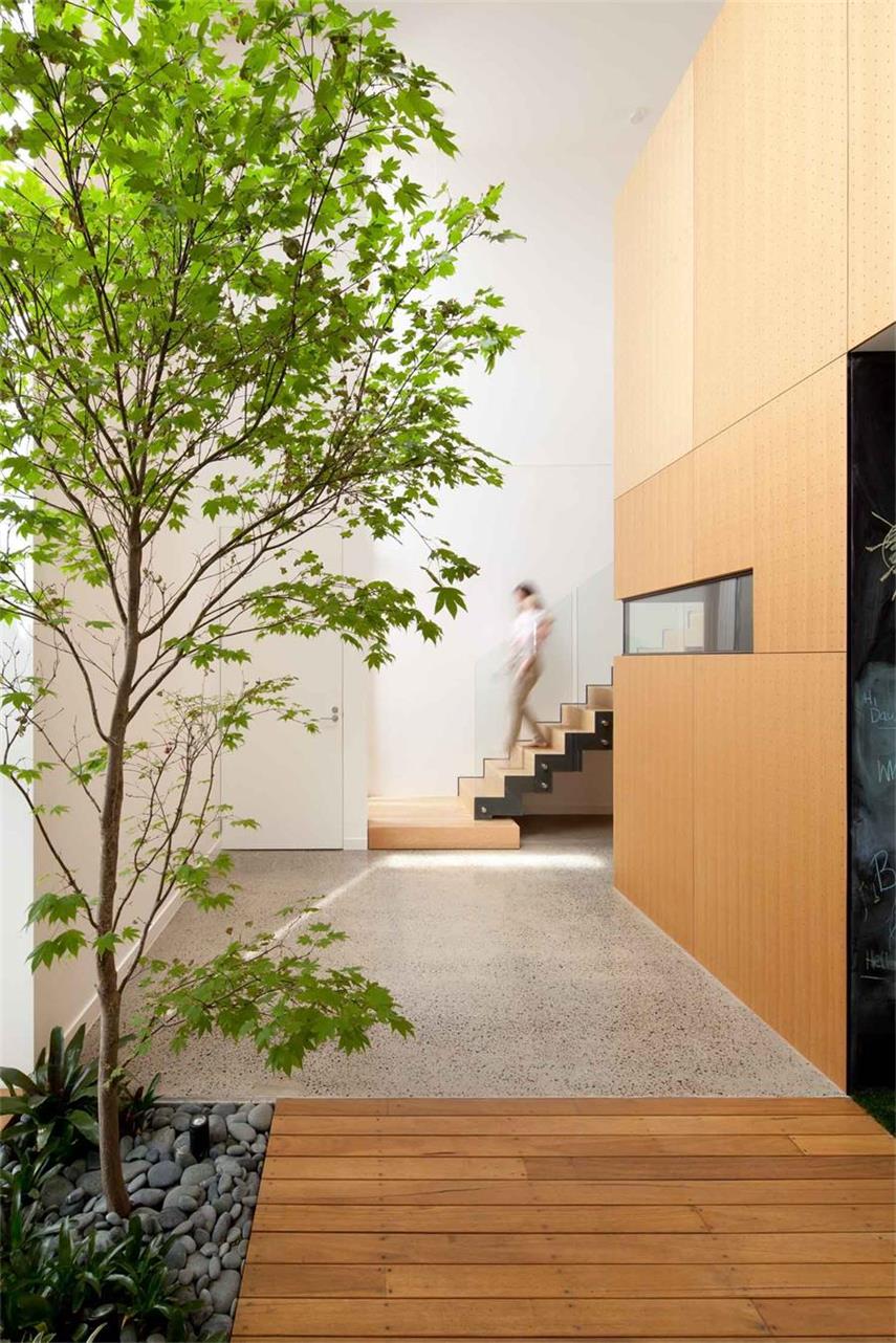 室內的樹，設計元素，綠植，特輯
