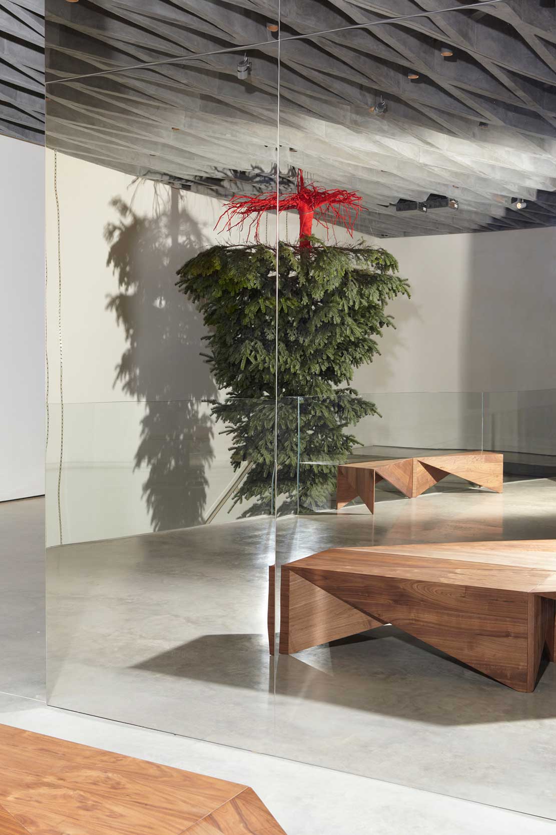 室內的樹，設計元素，綠植，特輯