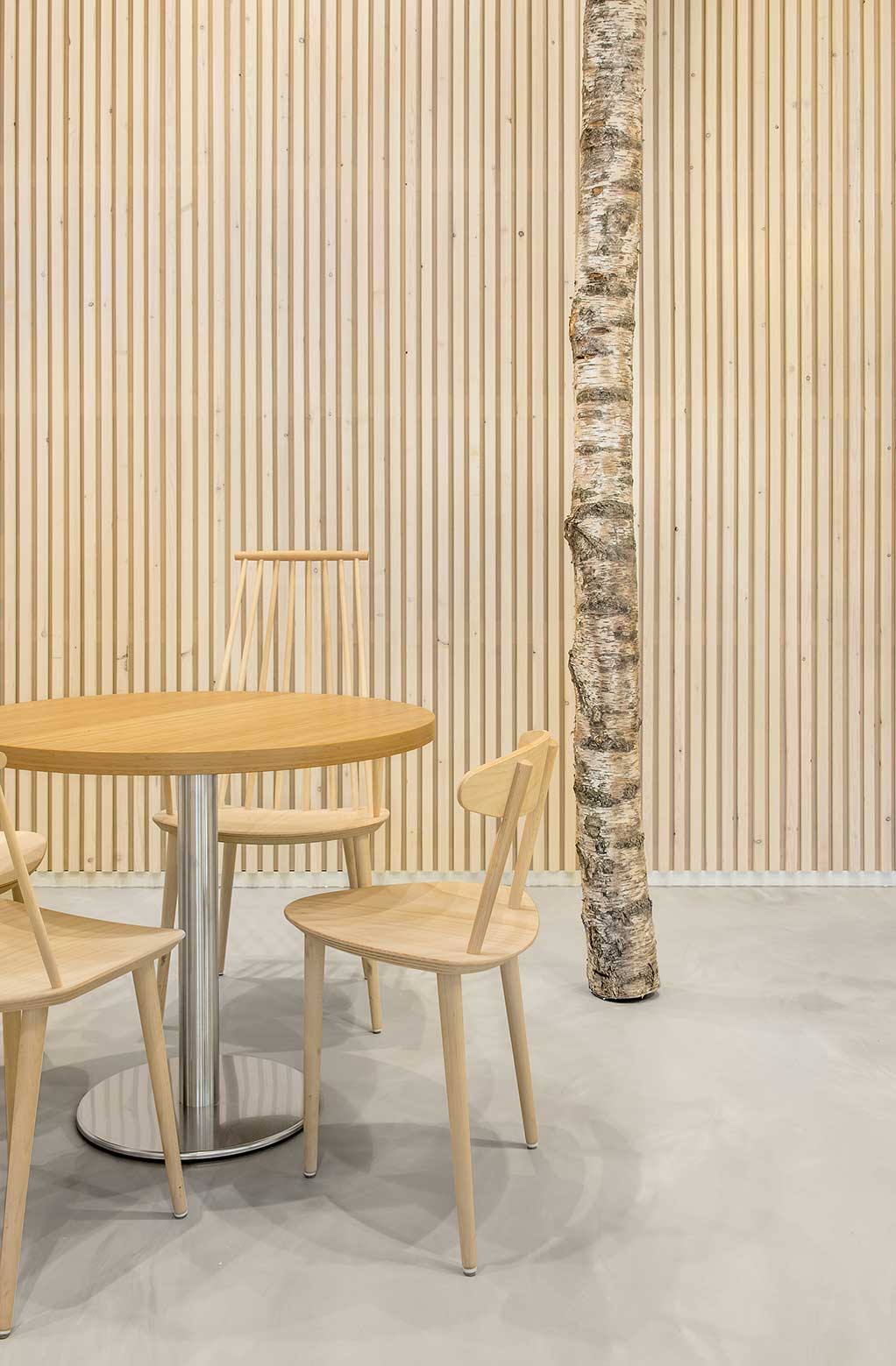 室內的樹，設計元素，綠植，特輯