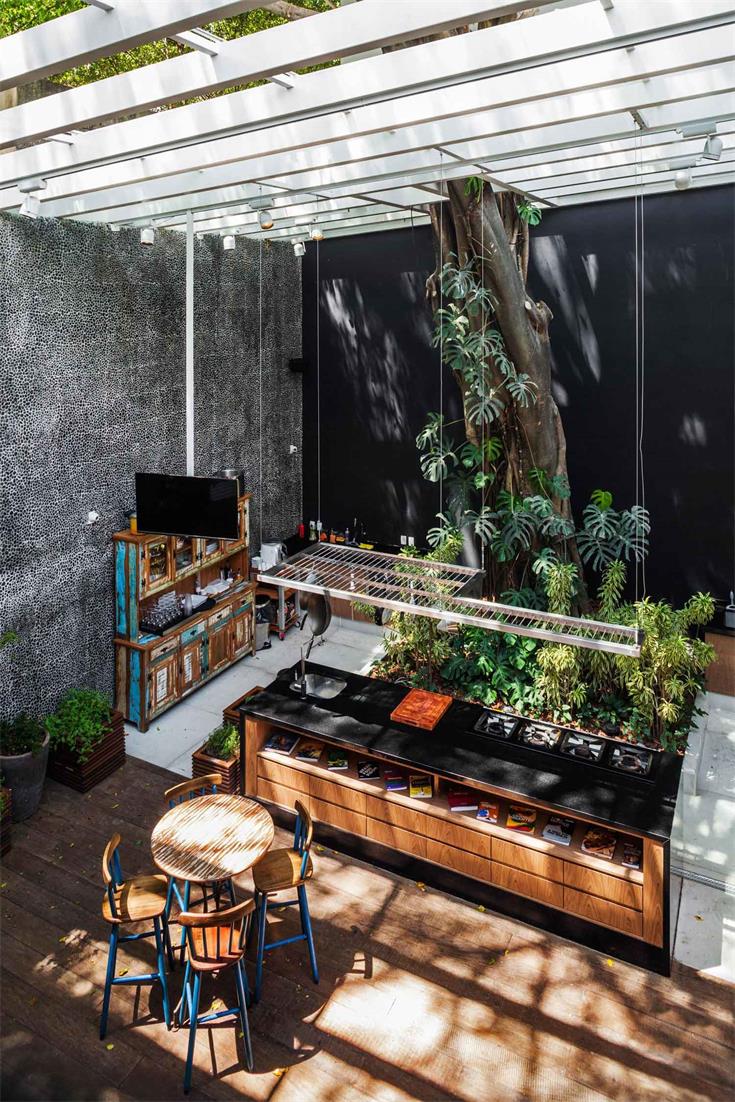 室內的樹，設計元素，綠植，特輯