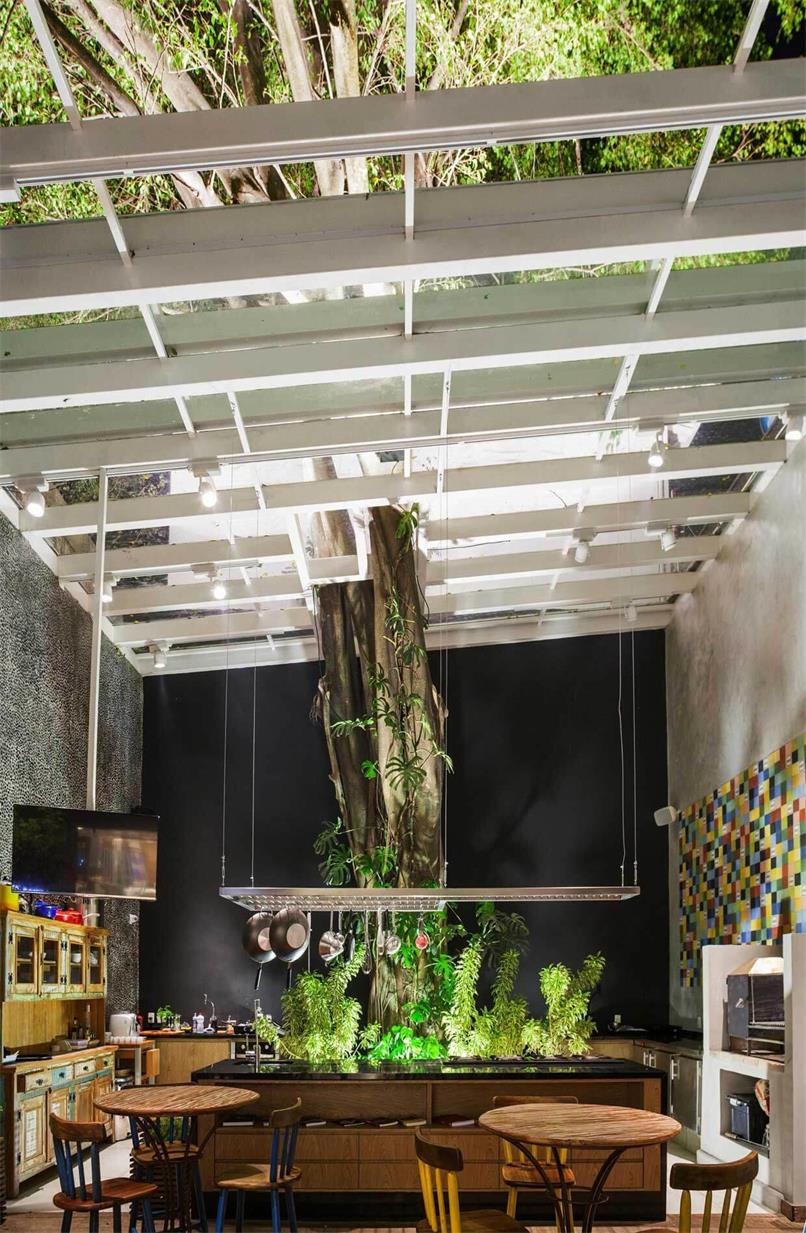 室內的樹，設計元素，綠植，特輯