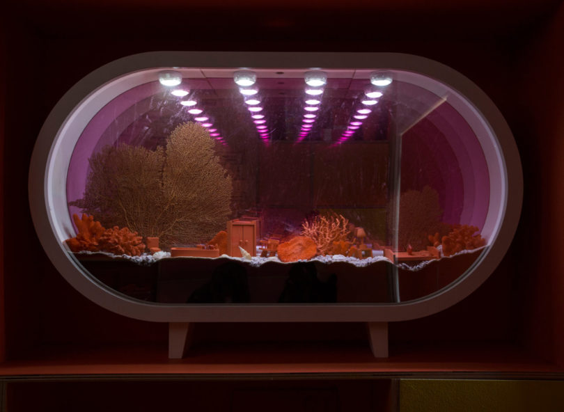 Pantone,2019年色彩,Pantone Pantry,溫馨色彩,珊瑚色