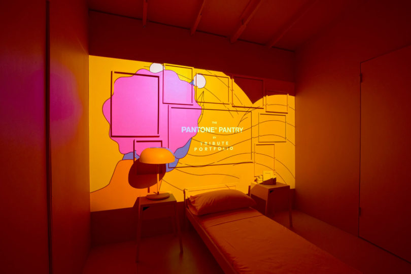 Pantone,2019年色彩,Pantone Pantry,溫馨色彩,珊瑚色