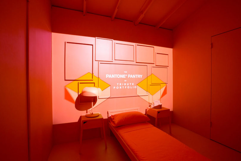 Pantone,2019年色彩,Pantone Pantry,溫馨色彩,珊瑚色