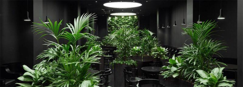 俄羅斯葉卡捷琳堡國際機場候機室設計