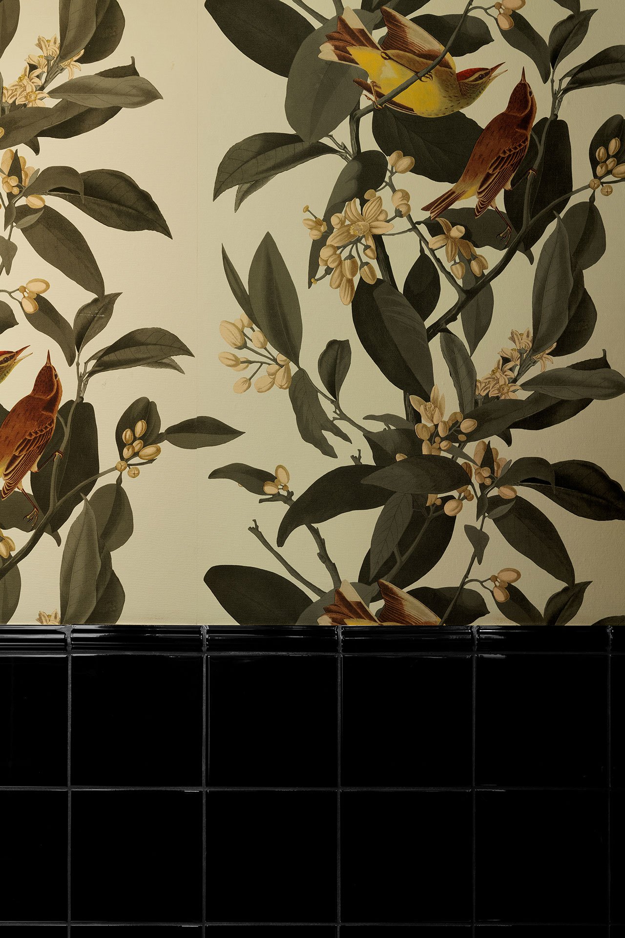 住宅空間,ETN 工作室,以色列,極簡主義