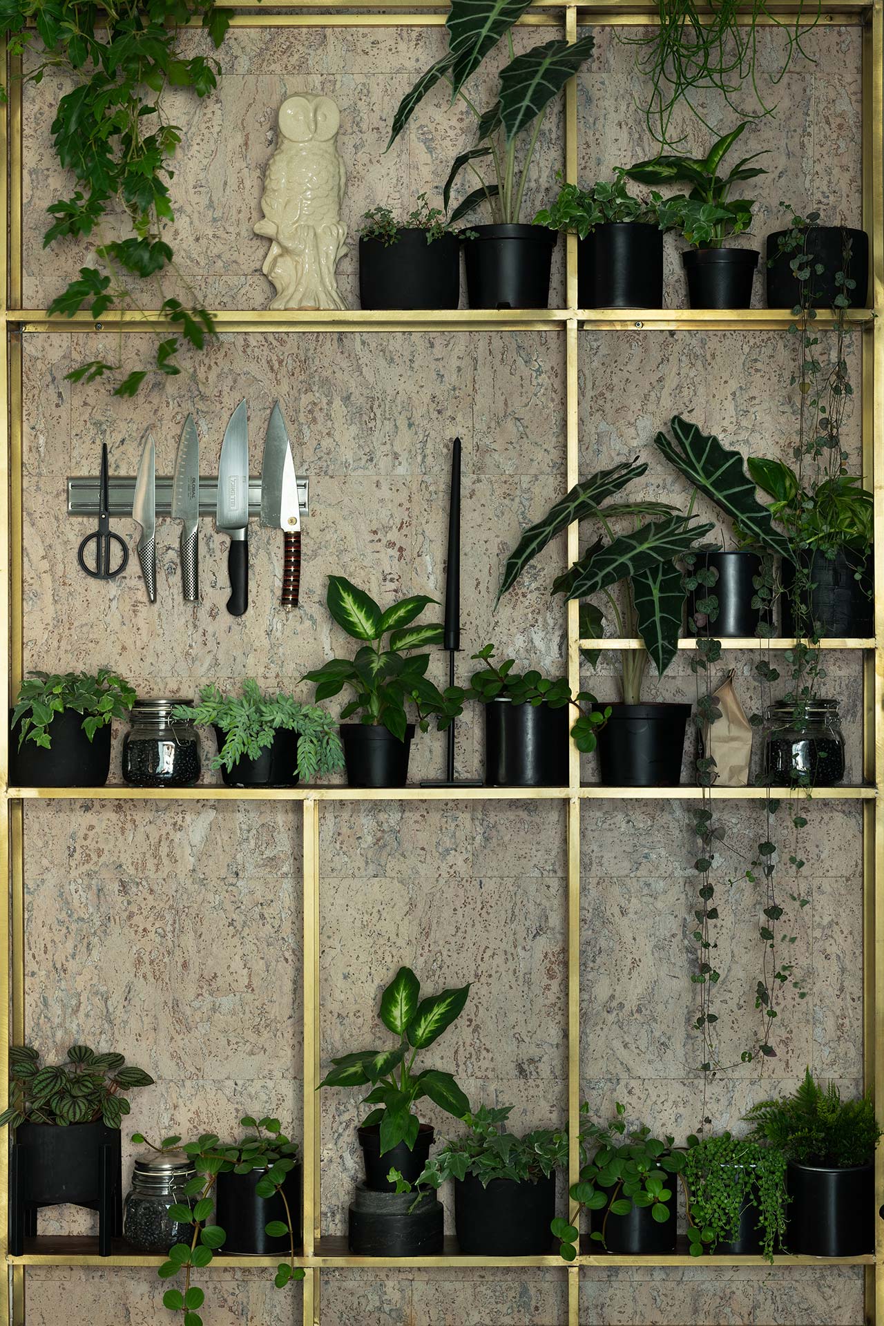 住宅空間,ETN 工作室,以色列,極簡主義