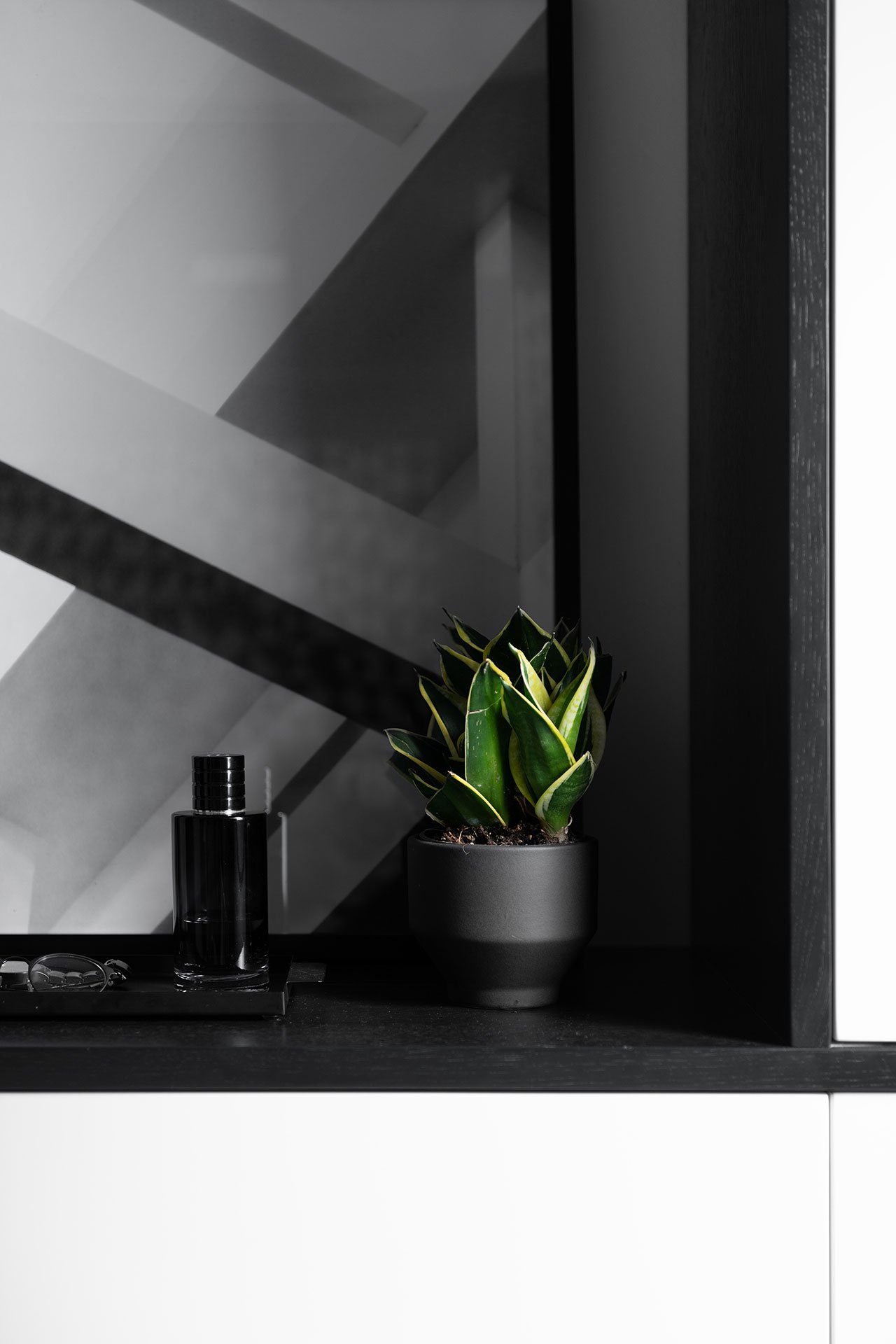 住宅空間,ETN 工作室,以色列,極簡主義