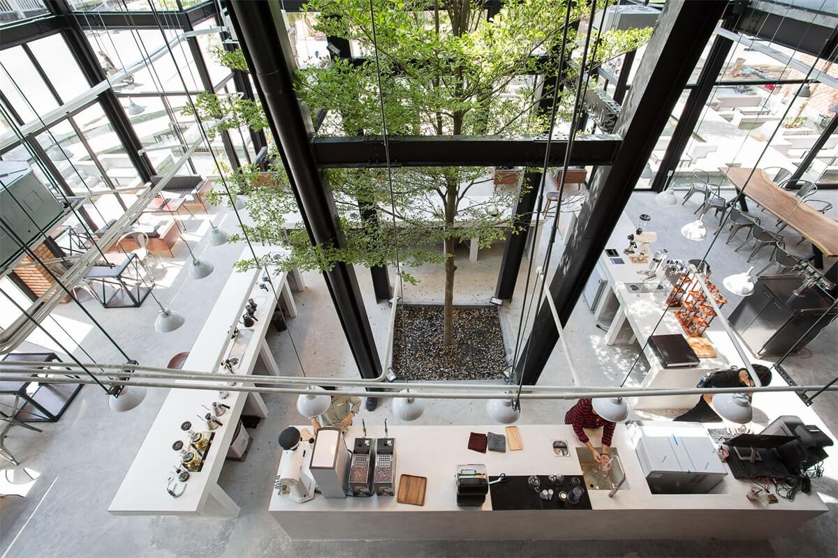 室內的樹，設計元素，綠植，特輯