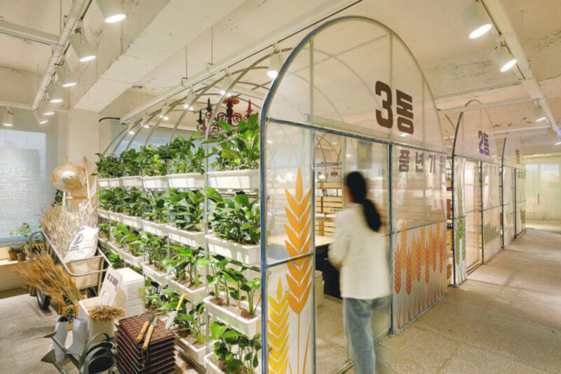 m4 | 韓國溫室裏的設計工作室