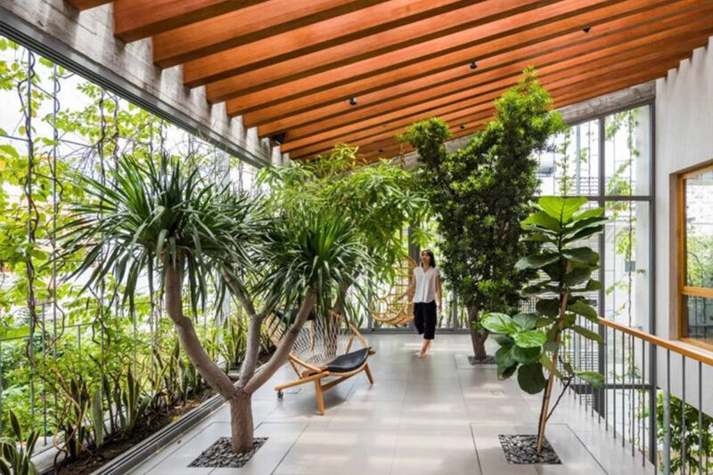 武重義建築事務所 | 將“森林公園”搬進住宅裏