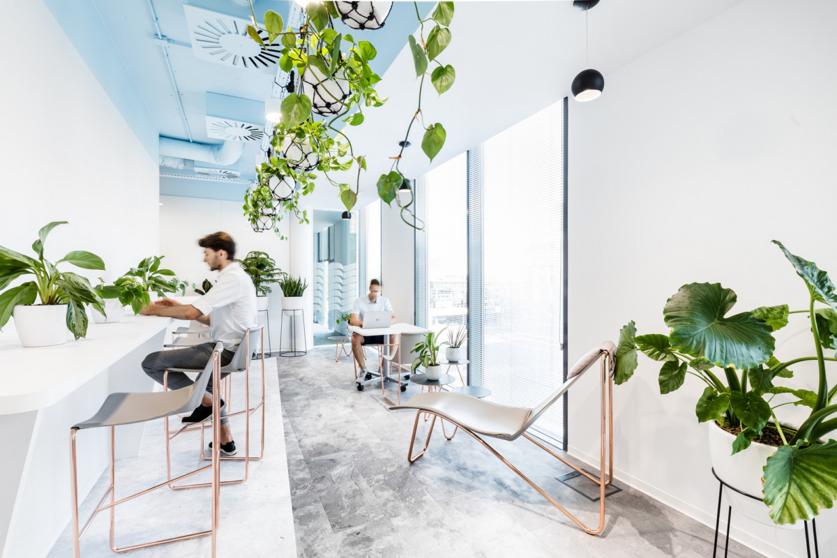 辦公空間,IT斯堪的納維亞辦事處,辦公設計,北歐,波蘭,現代風格