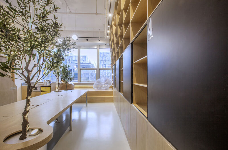 堂晤設計 | 牛在牆上飛，猴子樹梢醉-TOWO