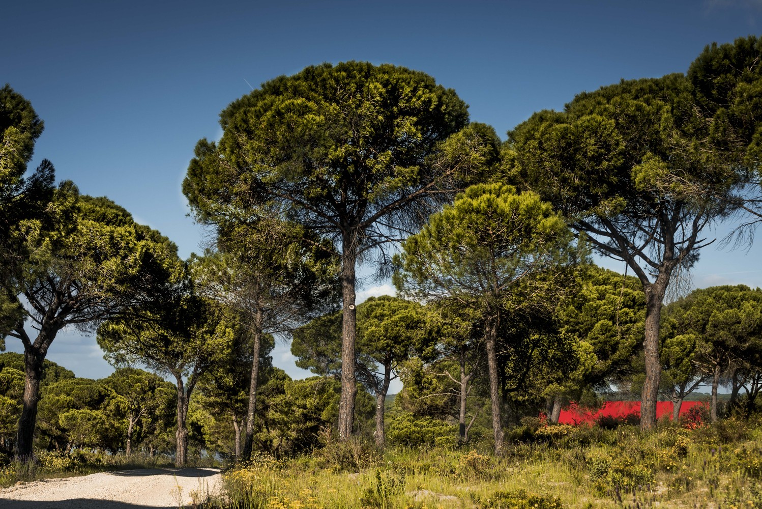 住宅空間,住宅設計,國外住宅空間設計,葡萄牙,Rebelo Andrade