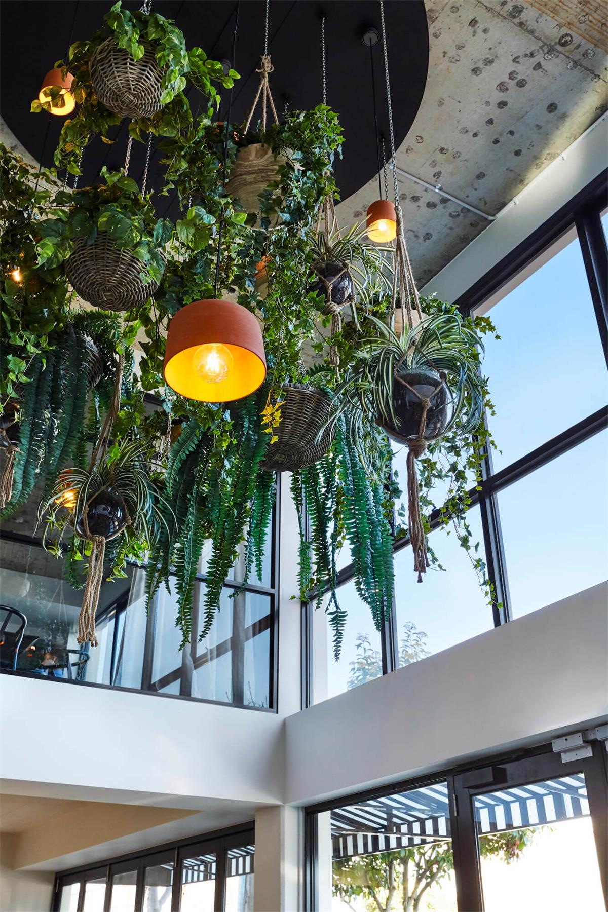 辦公空間,營養辦公室,國外辦公空間設計,墨爾本,Ewert Leaf