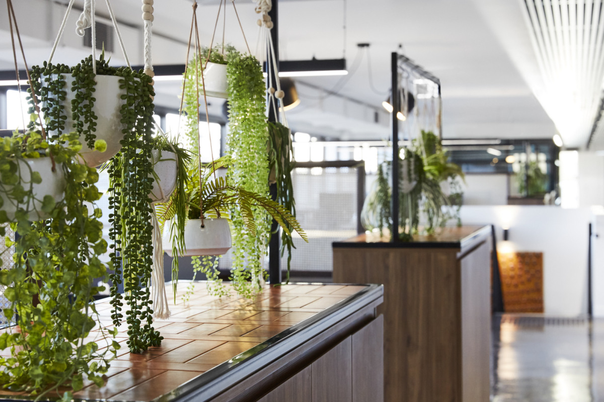 辦公空間,營養辦公室,國外辦公空間設計,墨爾本,Ewert Leaf