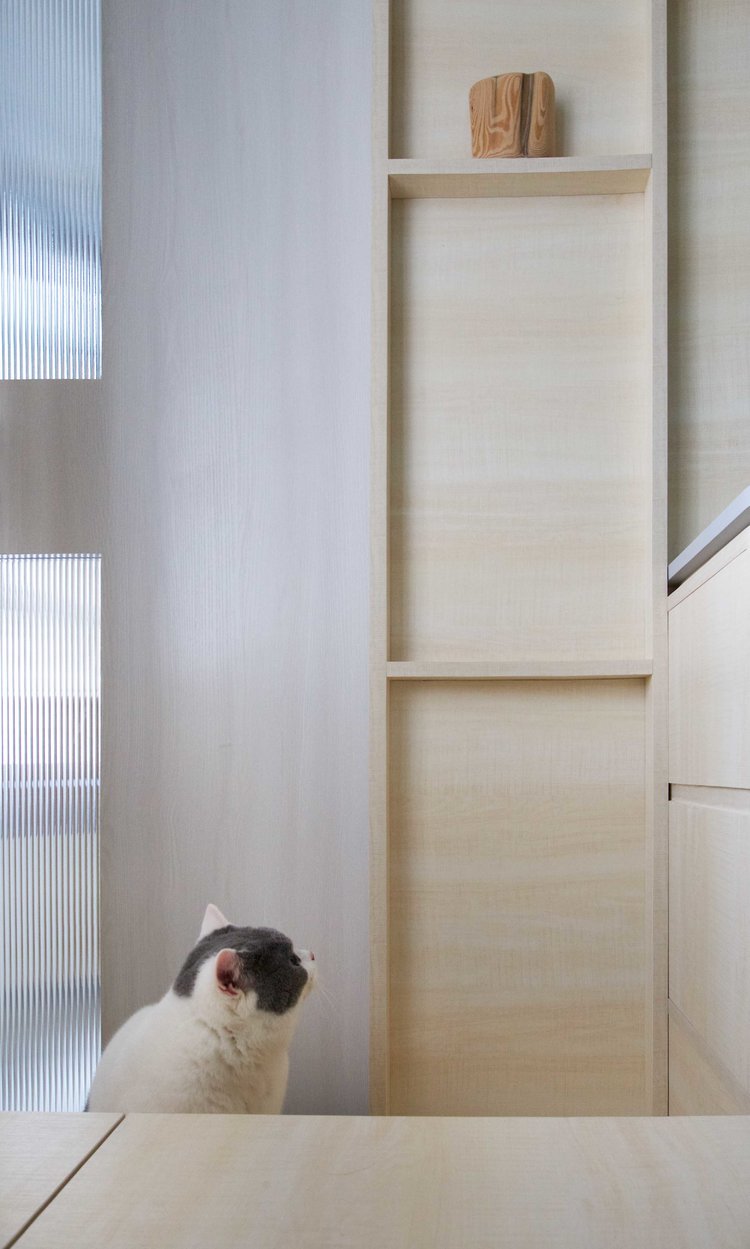 住宅設計,香港,sim-plex設計,寵物公寓,室內設計