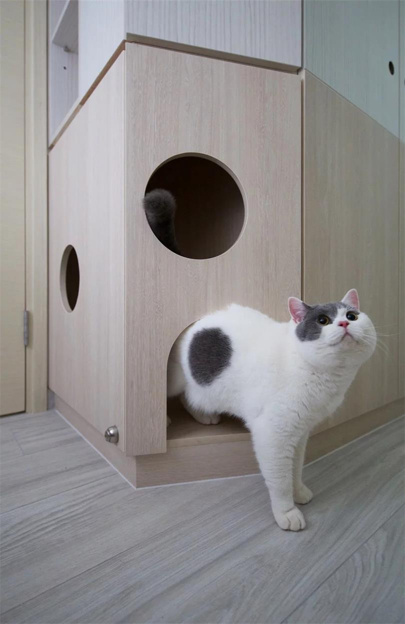 住宅設計,香港,sim-plex設計,寵物公寓,室內設計