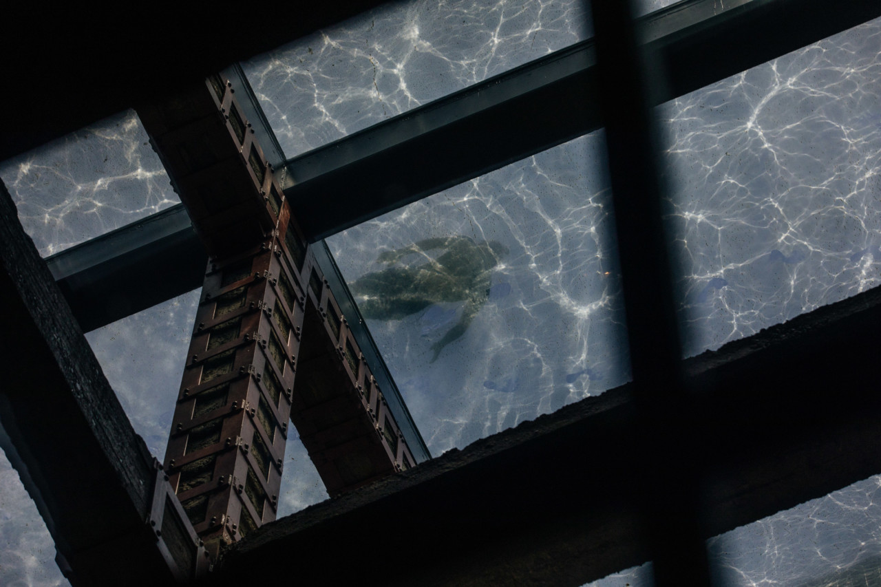 建築改造,酒店設計,國外建築改造,現代野獸派風格,酒店空間