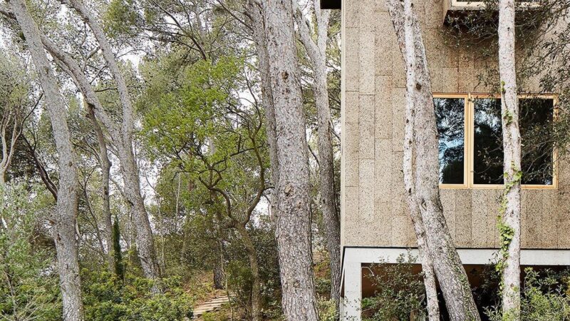 lopez rivera arquitectos | 西班牙森林軟木屋