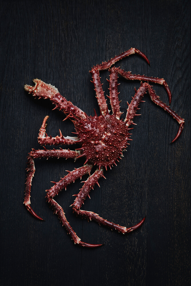 餐飲空間,餐飲設計,挪威,水下餐廳,國外餐飲空間設計,Snohetta