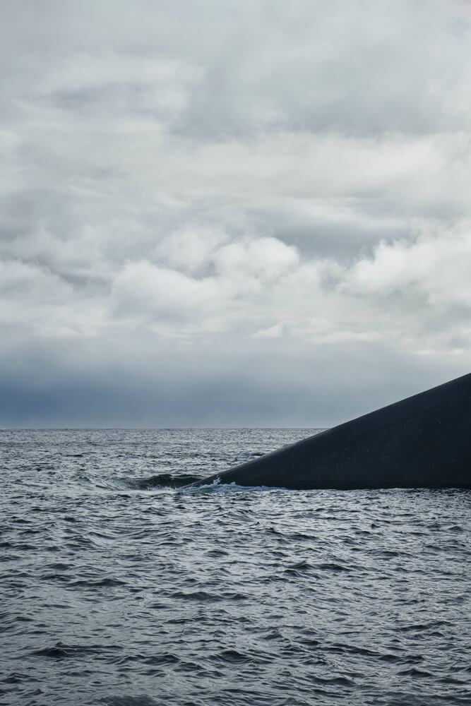 餐飲空間,餐飲設計,挪威,水下餐廳,國外餐飲空間設計,Snohetta