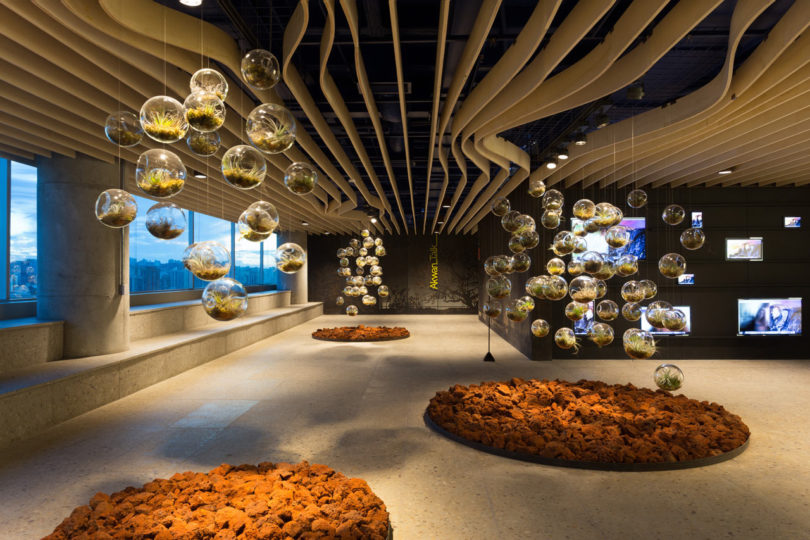 辦公空間，穀歌辦公室，穀歌工程中心，巴西